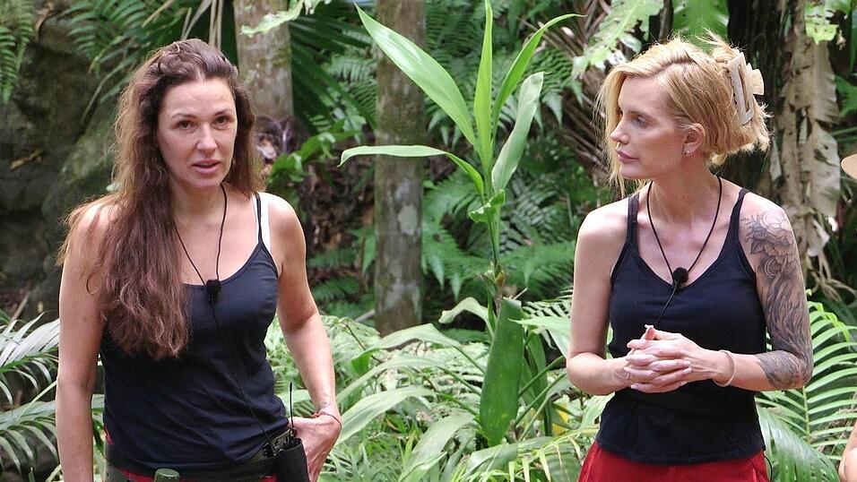 Die Dschungelfreundinnen Simone Ballack und Mirja du Mont werden getrennt. Die Dschungelfreundinnen Simone Ballack und Mirja du Mont werden getrennt.