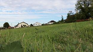 Blick auf die Ludwigshöhe: Hier soll ein Wohnquartier mit 65 Wohnungen entstehen. Der Bauausschuss hat am Montagabend den finalen Satzungsbeschluss für das „Deckblatt Nr. 15“ gefasst. Blick auf die Ludwigshöhe: Hier soll ein Wohnquartier mit 65 Wohnungen entstehen. Der Bauausschuss hat am Montagabend den finalen Satzungsbeschluss für das „Deckblatt Nr. 15“ gefasst.