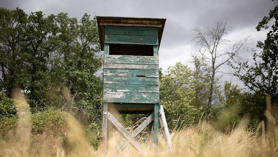 Von einem Hochsitz sichtet ein J&auml;ger im n&ouml;rdlichen Rheinland-Pfalz ein gr&ouml;&szlig;eres katzenartiges Tier. (Symbolbild)