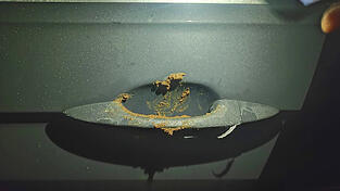 Im wahrsten Wortsinn „in die Scheiße gelangt“ haben in der letzten Zeit mehrere Gäste der Schlosstaverne, als sie nach Verlassen des Restaurants ihre Autos öffnen wollten.