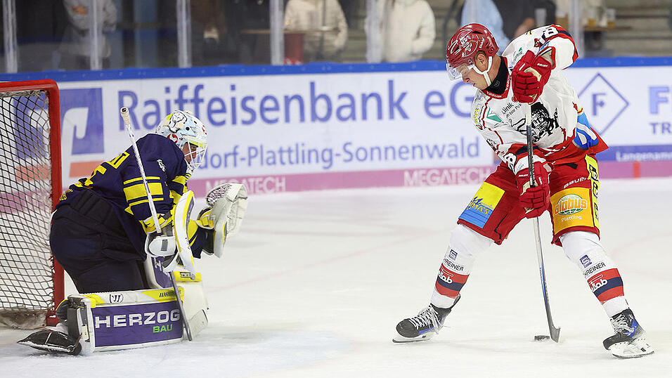 In der Vorbereitung hat DSC-Neuzugang Harrison Roy (l.) schon mal ein Kunststück ausgepackt - nun wird es ernst, wenn am Freitagabend die Höckstadt Alligators in der Hitzkopf-Arena zum Saisonauftakt gastieren.