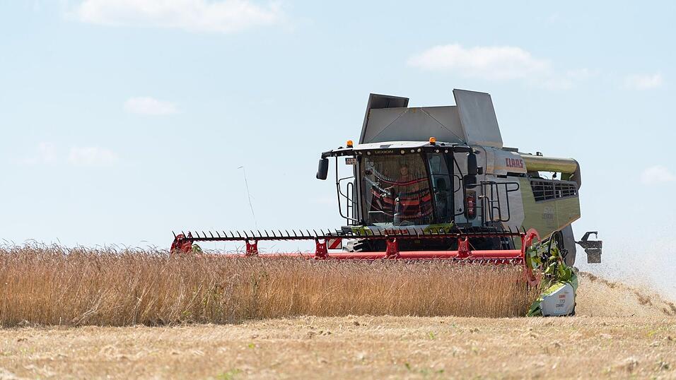 Die Getreideernte in Bayern fiel gut aus. (Archivbild) Die Getreideernte in Bayern fiel gut aus. (Archivbild)
