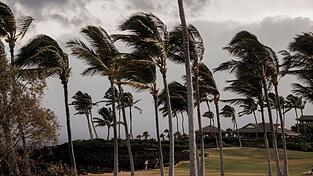 Der Sturm «Lala» hat sich unmittelbar vor Hawaii zu einem Hurrikan verstärkt und sorgt für Überschwemmungen, Stromausfälle und Straßensperren. Der Sturm «Lala» hat sich unmittelbar vor Hawaii zu einem Hurrikan verstärkt und sorgt für Überschwemmungen, Stromausfälle und Straßensperren.
