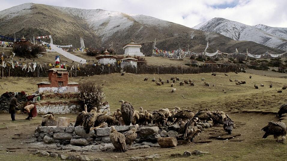 Geier als &bdquo;Himmelsgeister&ldquo;: Bei den Himmelsbestattungen in Tibet werden die Verstorbenen an die Natur &bdquo;zur&uuml;ckgegeben&ldquo;.