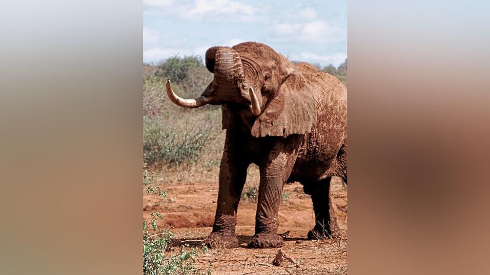 Aufpassen: Es gibt in Kenia vieles, vor dem man sich in Acht nehmen sollte.