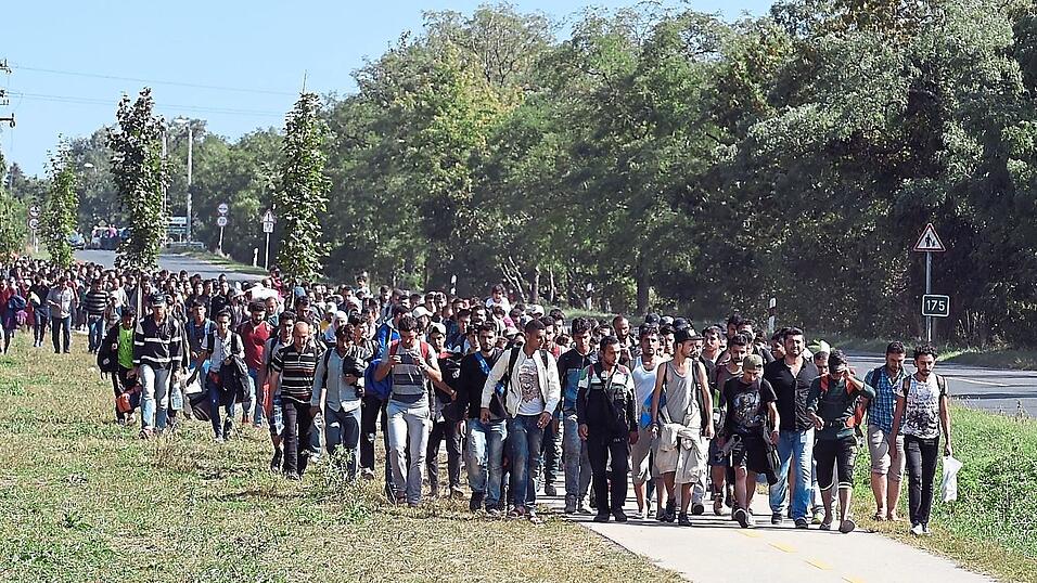 Ein Flüchtlingszug marschiert durch Ungarn. Von dort kommt Waid mit dem Auto nach Passau. Ein Flüchtlingszug marschiert durch Ungarn. Von dort kommt Waid mit dem Auto nach Passau.