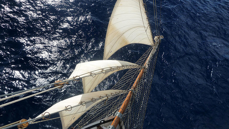 Vogelperspektive. Vogelperspektive.