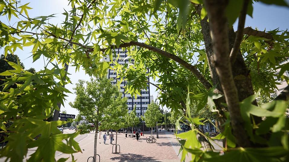 Stadtb&auml;ume helfen, an hei&szlig;en Tagen f&uuml;r etwas K&uuml;hlung zu sorgen. (Symbolbild)