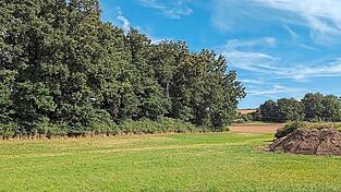 Unweit der Ortschaft Dietenhofen liegt das Grundstück, auf dem die Errichtung des Stalls bisher geplant war. Der Bürgermeister hofft nach dem Nein des Gemeinderats auf eine gute Alternativlösung.