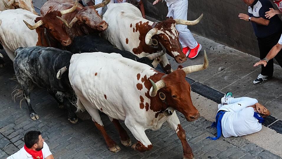 Wer w&auml;hrend der Stierrennen in Pamplona st&uuml;rzt, soll den Kopf mit den Armen vor den Hufen der Stiere sch&uuml;tzen und sich m&ouml;glichst schnell an den Stra&szlig;enrand rollen.