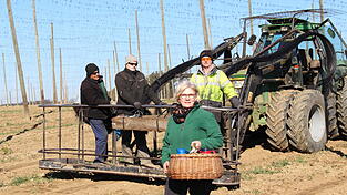 B&auml;uerin Ursula Pichlmeyer bringt den Arbeitern, die in diesen Wochen die Dr&auml;hte in den Hopfeng&auml;rten in sieben Meter H&ouml;he befestigen, die Brotzeit zur Vormittagspause aufs Feld.