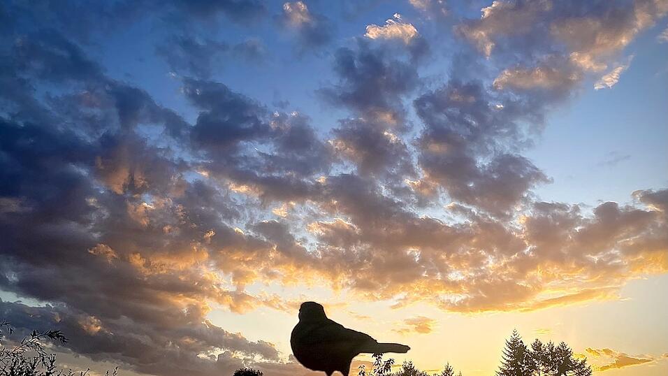 Das Motiv für Januar von Diana und Philipp Bomke.