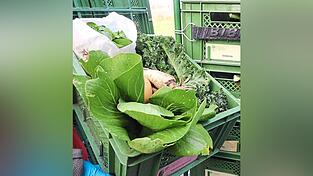 Im Winter im Angebot: Pak Choi, Petersilienwurzeln, Grünkohl, Feldsalat - es gibt drei Kistenarten, in der die Ware verstaut wird. Im Winter im Angebot: Pak Choi, Petersilienwurzeln, Grünkohl, Feldsalat - es gibt drei Kistenarten, in der die Ware verstaut wird.
