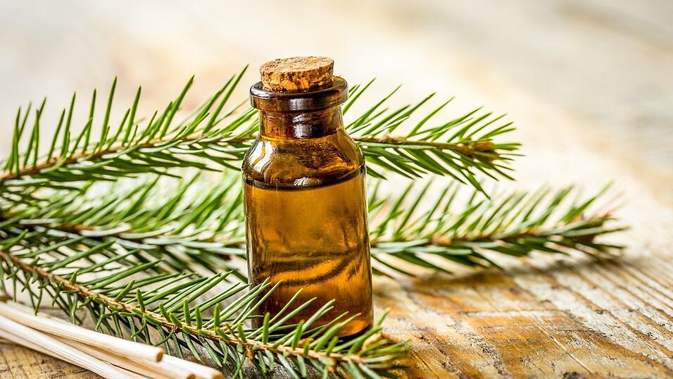 Seit Jahrhunderten wird das Tannenöl bei Erkältungen und Erkrankungen der Atemwege eingesetzt. Seit Jahrhunderten wird das Tannenöl bei Erkältungen und Erkrankungen der Atemwege eingesetzt.
