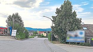 Manchen Stadträten ein Dorn im Auge: die Werbetafel auf der Hafnerhöhe, neben der Hauptzufahrt zur Stadt. Manchen Stadträten ein Dorn im Auge: die Werbetafel auf der Hafnerhöhe, neben der Hauptzufahrt zur Stadt.
