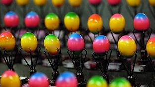 Frisch gefärbte Hühnereier laufen am 04.03.2015 in Breckerfeld (Nordrhein-Westfalen) in der Geflügelzucht Baumeister durch eine Maschine zum Färben von Ostereiern. Frisch gefärbte Hühnereier laufen am 04.03.2015 in Breckerfeld (Nordrhein-Westfalen) in der Geflügelzucht Baumeister durch eine Maschine zum Färben von Ostereiern.