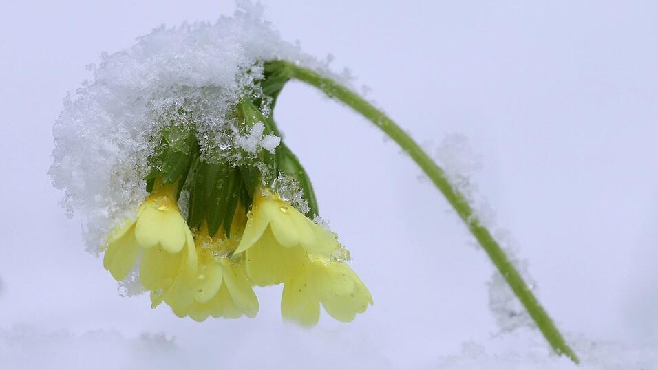 Die Osterferien beginnen mit ungem&uuml;tlichem Wetter. (Archivbild)