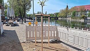 Die neuen B&auml;ume wurden in eine Reihe mit den bereits bestehenden gepflanzt. Noch sch&uuml;tzt dieses Exemplar eine Bake.
