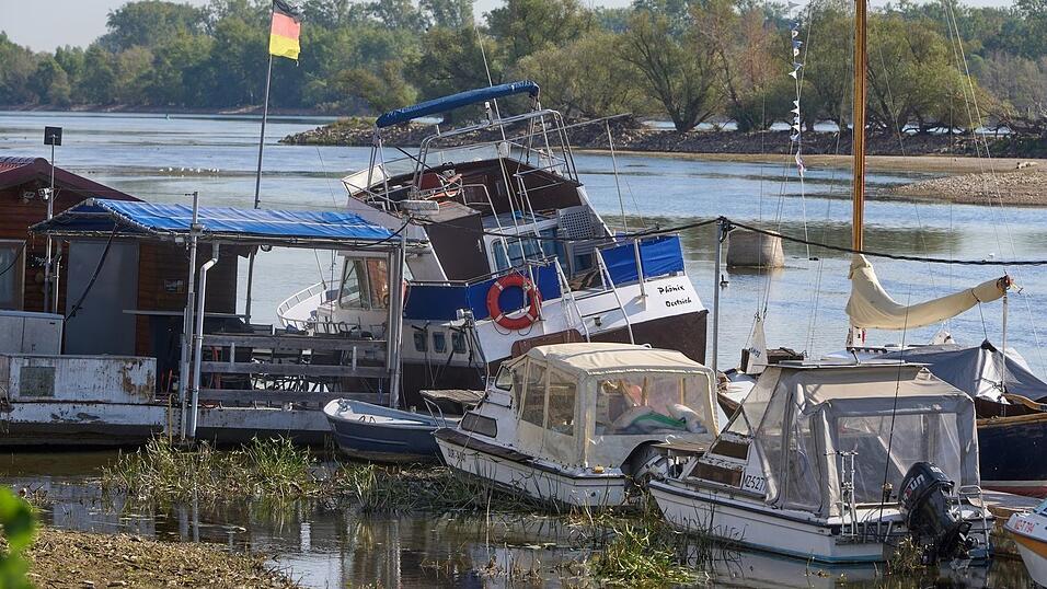 Zu wenig Wasser: Bei Oestrich-Winkel im hessischen Rheingau liegen Sportboote auf dem Grund des Rheins. Zu wenig Wasser: Bei Oestrich-Winkel im hessischen Rheingau liegen Sportboote auf dem Grund des Rheins.