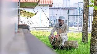 Für Fleischmann ist die Imkerei ein wichtiges Handwerk. Für Fleischmann ist die Imkerei ein wichtiges Handwerk.