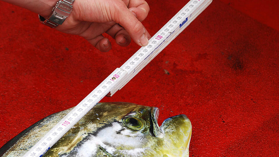 Bilder von der Atlantiküberquerung, November/Dezember 2009 Bilder von der Atlantiküberquerung, November/Dezember 2009