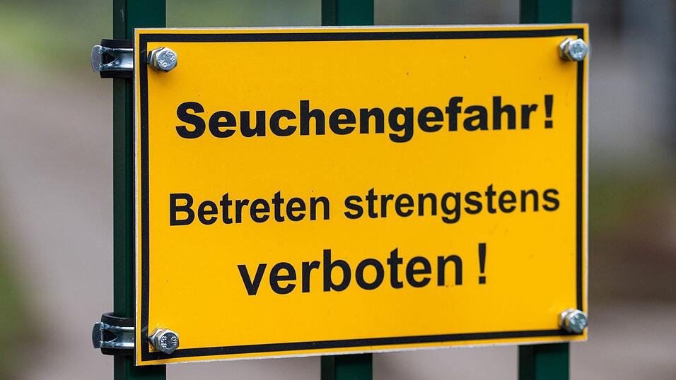 Die auch als Vogelgrippe bezeichnete Geflügelpest hat sich mittlerweile fast über ganz Deutschland ausgebreitet. (Archivbild) Die auch als Vogelgrippe bezeichnete Geflügelpest hat sich mittlerweile fast über ganz Deutschland ausgebreitet. (Archivbild)