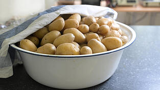 Im Landkreis gibt es die ersten Frühkartoffeln aus heimischem Anbau (Symbolfoto). Mangels Regen fallen die Knollen allerdings vielerorts eher klein aus. Im Landkreis gibt es die ersten Frühkartoffeln aus heimischem Anbau (Symbolfoto). Mangels Regen fallen die Knollen allerdings vielerorts eher klein aus.