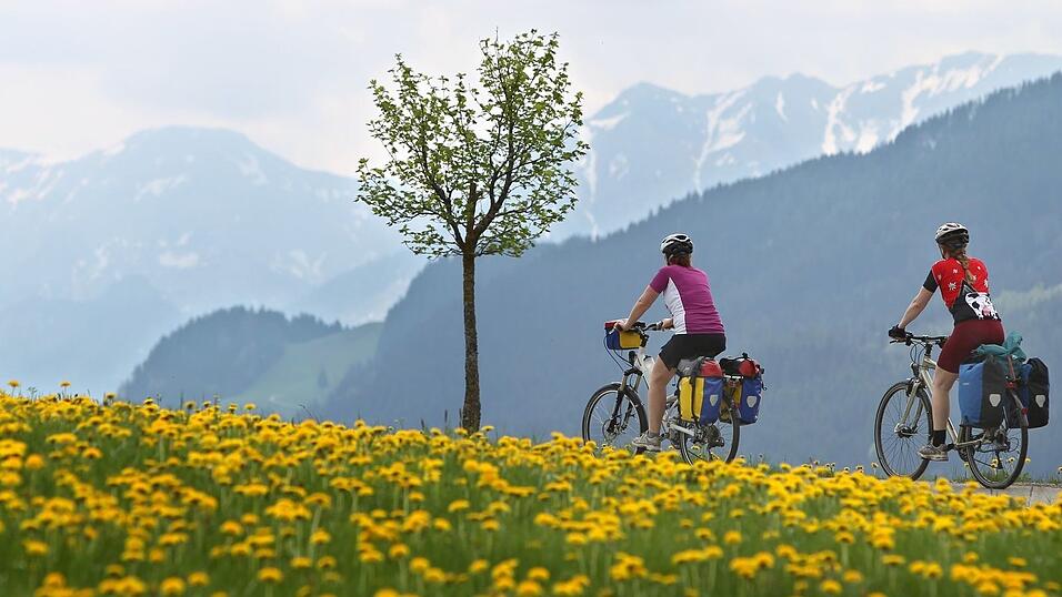 Die Art der Fahrradunfälle in den Bergen hat sich mit dem E-Bike verändert. (Symbolbild) Die Art der Fahrradunfälle in den Bergen hat sich mit dem E-Bike verändert. (Symbolbild)