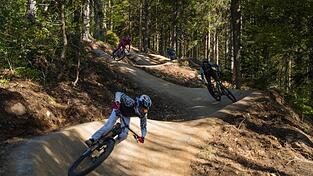 Kurvig und schnell sind die Trails am Gro&szlig;en Arber.
