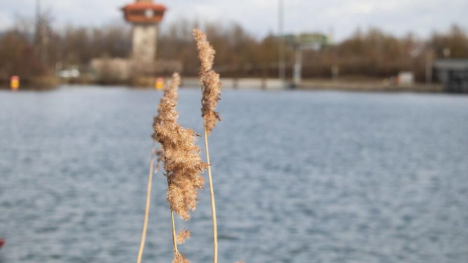 Die Natur zum Frühlingsanfang in Straubing - eine Fototour.