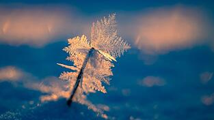 Eisige Temperaturen können für Menschen ohne Wohnung lebensgefährlich sein. Eisige Temperaturen können für Menschen ohne Wohnung lebensgefährlich sein.