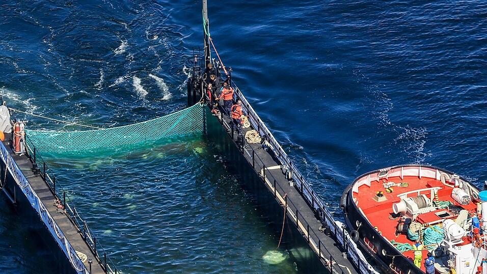 Bei der Barge handelt es sich um einen Lastkahn. Bei der Barge handelt es sich um einen Lastkahn.