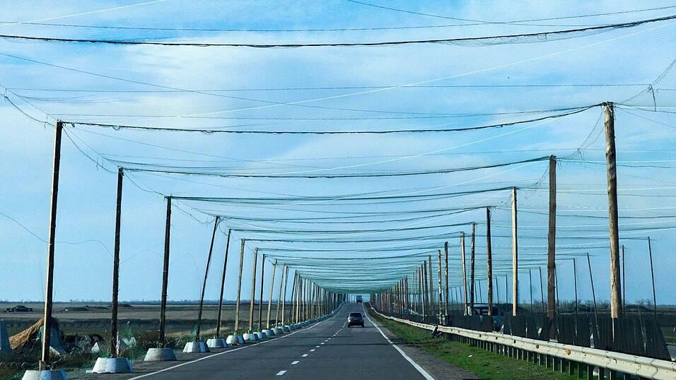 Netze über den Strtaßen bei Cherson sollen russische Drohnen abhalten. (Archivbild) Netze über den Strtaßen bei Cherson sollen russische Drohnen abhalten. (Archivbild)