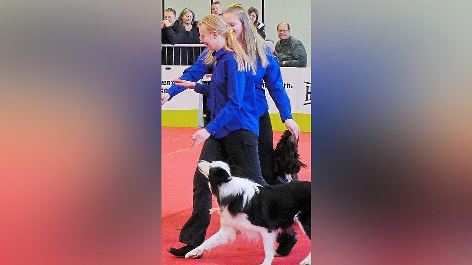 Eine Dogdance-Show geh&ouml;rt wieder zum Rahmenprogramm der Hundemesse Am Hagen.