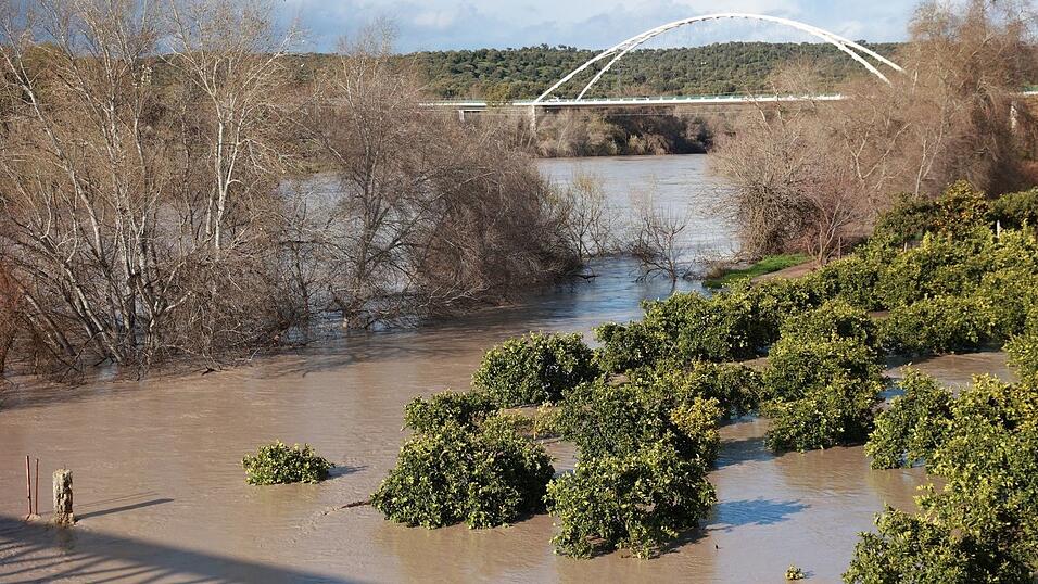 Trotz einer leichten Wetterbesserung am Freitag traten viele Fl&uuml;sse im s&uuml;dspanischen Andalusien wie hier der  Guadalquivir &uuml;ber die Ufer.