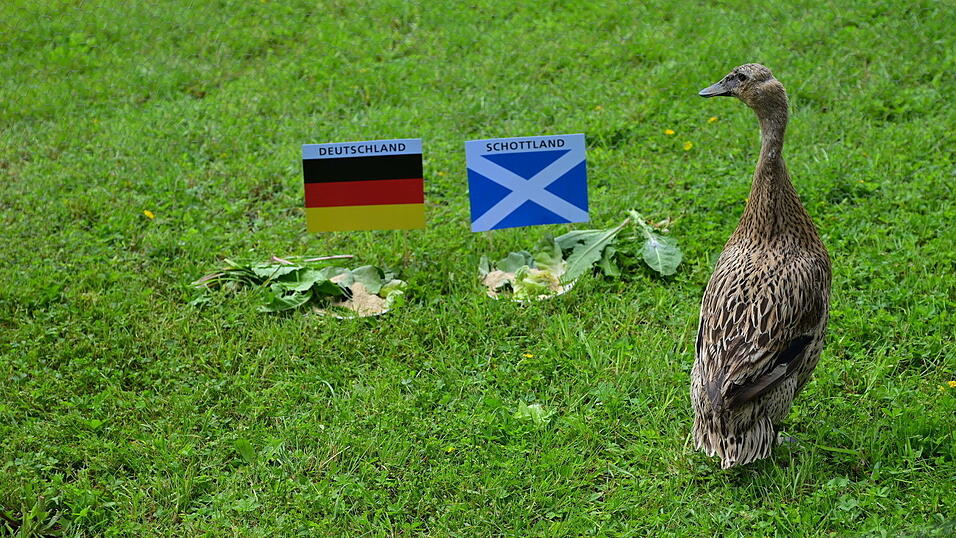 Das Auftaktspiel: Deutschland gegen Schottland. Paula ist sich noch unschl&uuml;ssig, auf welchen Teller sie zuwatschelt.