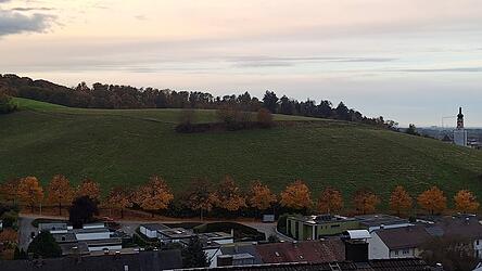 Grüne Wiesen, soweit das Auge reicht - und das inmitten der Stadt: der Klosterberg von der Wackingerstraße aus gesehen.
