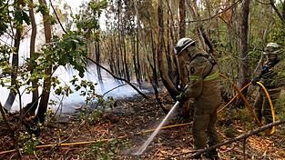 In Portugal gibt es eine leichte Entspannung bei den schweren Waldbränden. Noch aber sind rund 1.400 Feuerwehrleute im Einsatz.