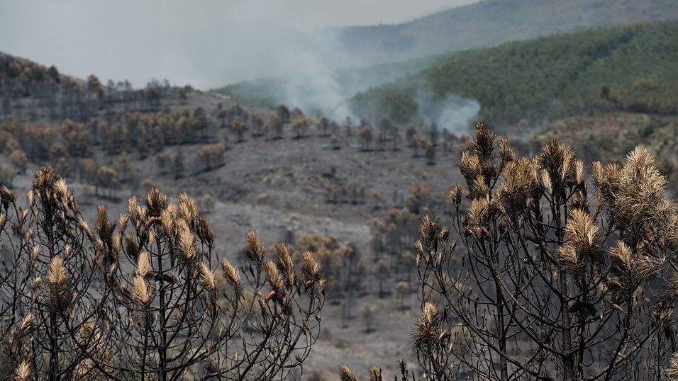 Das Feuer in der Region von Guadalajara nordöstlich von Madrid hat bereits 13.000 Hektar Wald- und Buschland vernichtet. Das Feuer in der Region von Guadalajara nordöstlich von Madrid hat bereits 13.000 Hektar Wald- und Buschland vernichtet.