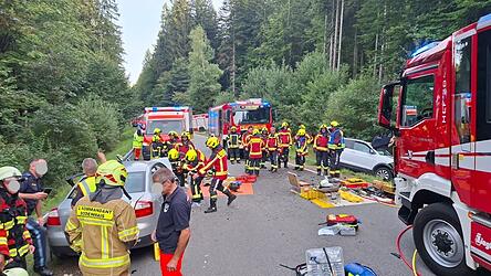 Viele Rettungskräfte waren im Einsatz, die Straße blieb zwei Stunden gesperrt. Viele Rettungskräfte waren im Einsatz, die Straße blieb zwei Stunden gesperrt.