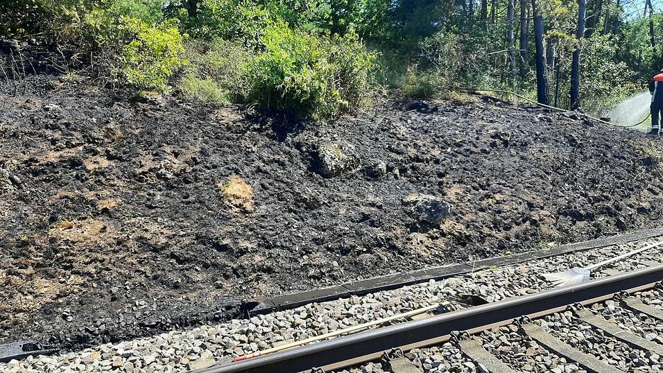 Eine &Uuml;bersichtsaufnahme vom B&ouml;schungsbrand mit Kabelschacht.