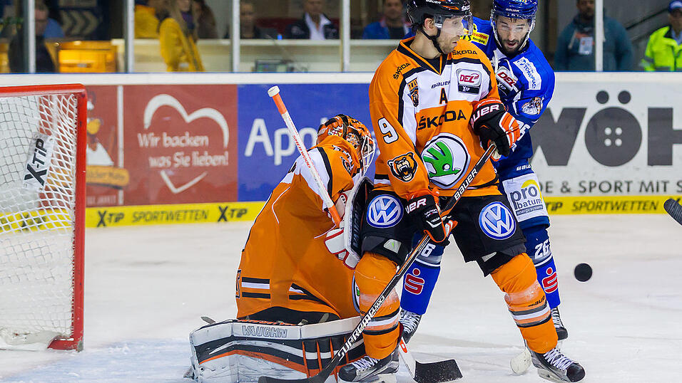 Die Tigers verlieren gegen Wolfsburg mit 2:4. Die Tigers verlieren gegen Wolfsburg mit 2:4.