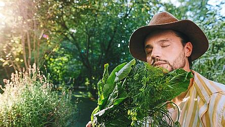 500 Gramm Gemüse sollte man täglich essen. Am besten aus dem Bioladen oder dem eigenen Garten.