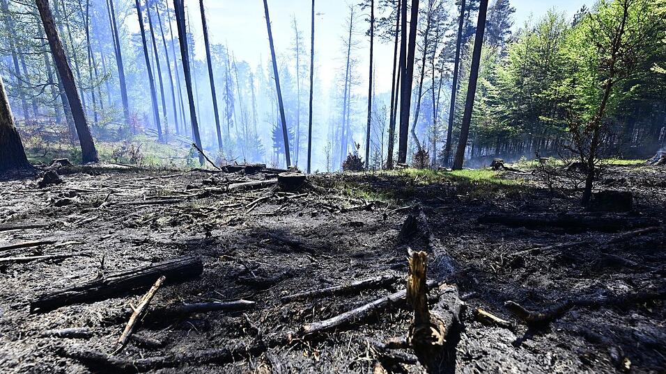 Der Brand im Nationalpark B&ouml;hmische Schweiz ist nicht unter Kontrolle.