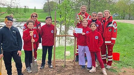 Im Sommer pflanzte die Wasserwacht-Gruppe nahe dem Freibad einen jungen Birnbaum.