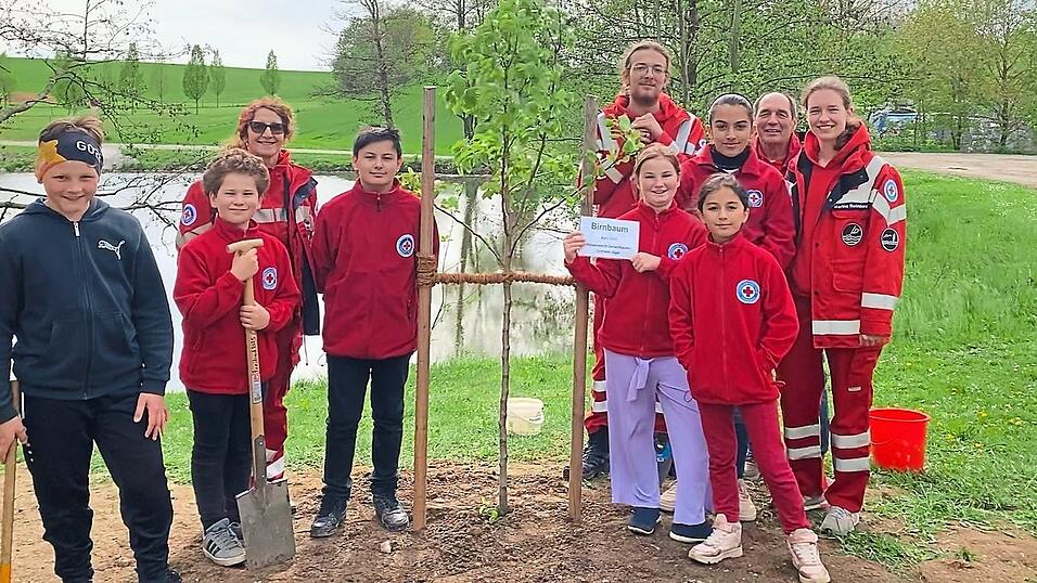 Im Sommer pflanzte die Wasserwacht-Gruppe nahe dem Freibad einen jungen Birnbaum.
