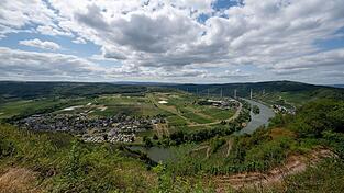 Blick auf die Mosel bei Ürzig. Die große Hitze bleibt in den kommenden Tagen aus. Blick auf die Mosel bei Ürzig. Die große Hitze bleibt in den kommenden Tagen aus.