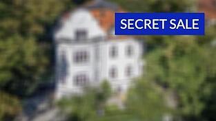 Bei den Secret Sale Angeboten sind viele Bilder lediglich verschwommen auf der Homepage zu sehen.