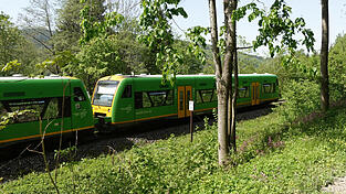 Die Waldbahn bei Grafling. Nicht nur das Aktionsbündnis Klimaentscheid betrachtet ihre Elektrifizierung als sinnvoll und notwendig. Denn auf tschechischer Seite erfolgt diese Elektrifizierung bereits.