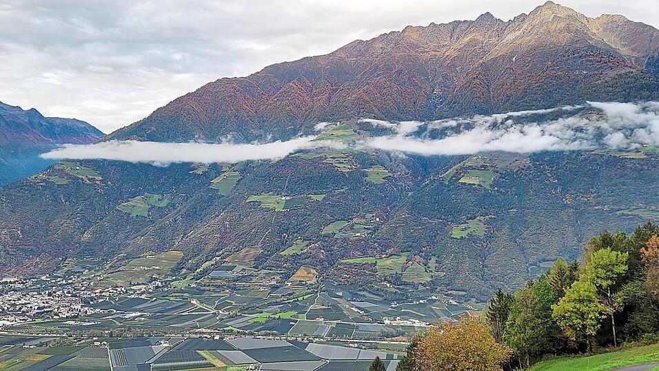Blick über das Südtiroler Naturns mit seinen zahlreichen Apfelplantagen
